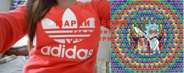 прущие грибы Галич