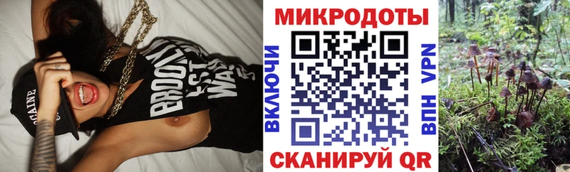 Псилоцибиновые грибы Cubensis  Москва 